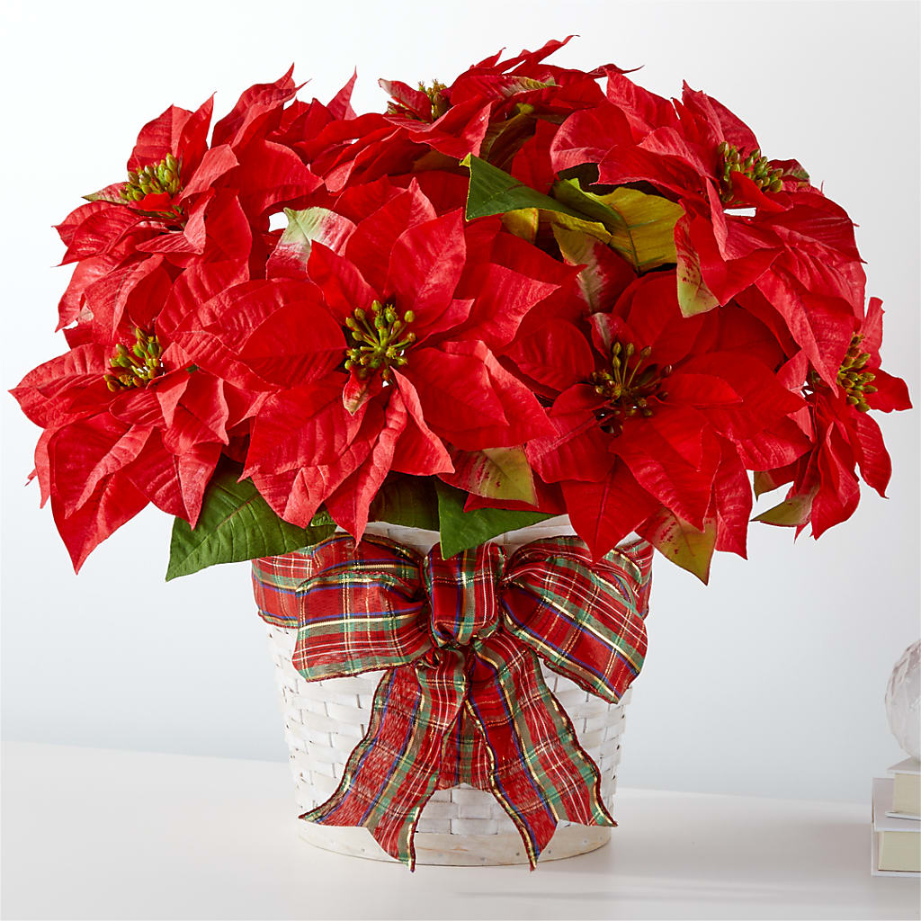 Happiest Holidays Poinsettia – C & C SENSATIONS, Waynesboro VA