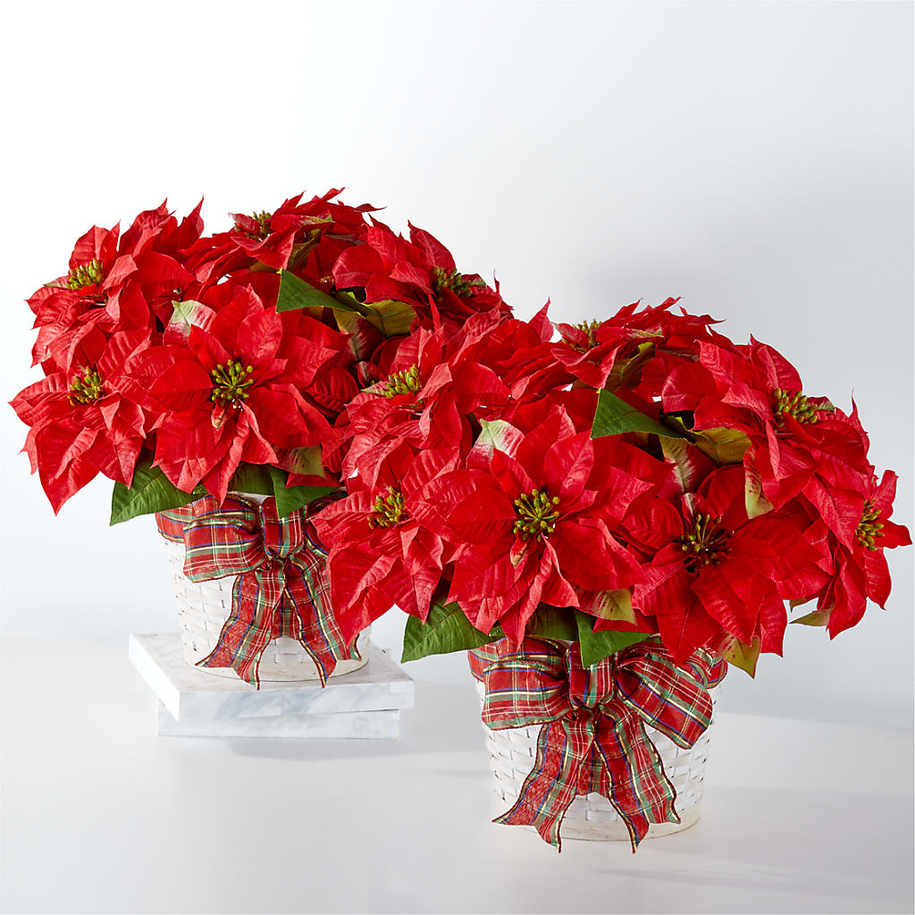 Happiest Holidays Poinsettia Bundle – C & C SENSATIONS, Waynesboro VA