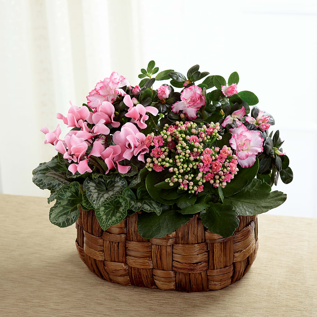 Pink Assortment – C & C SENSATIONS, Waynesboro VA
