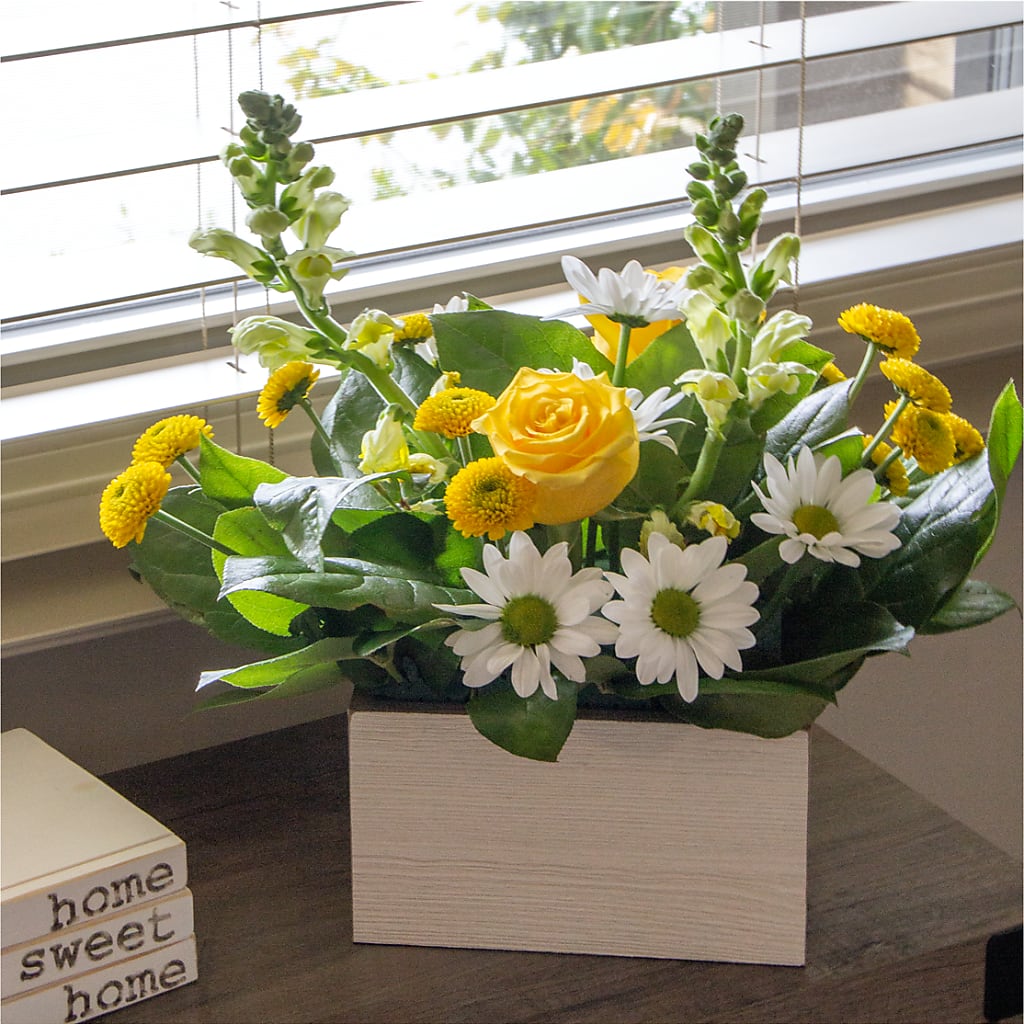Sun Salutation Box Bouquet – C & C SENSATIONS, Waynesboro VA