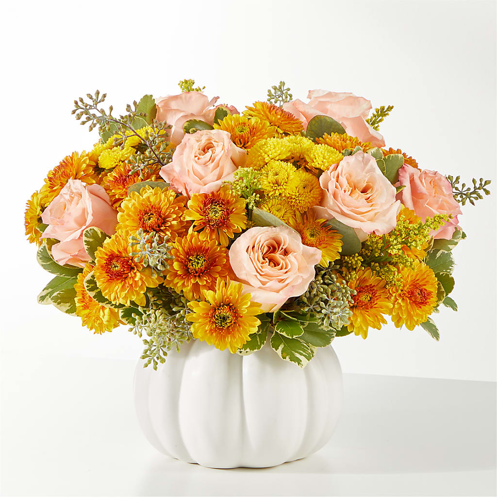 Peachy Pumpkin – C & C SENSATIONS, Waynesboro VA