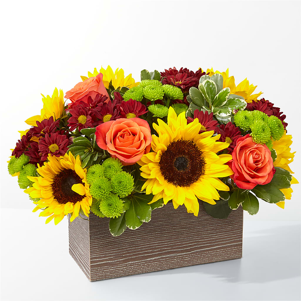 Happy Harvest Garden – C & C SENSATIONS, Waynesboro VA
