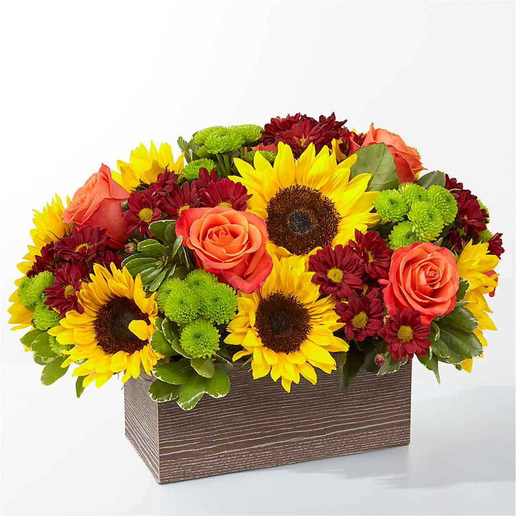 Happy Harvest Garden – C & C SENSATIONS, Waynesboro VA