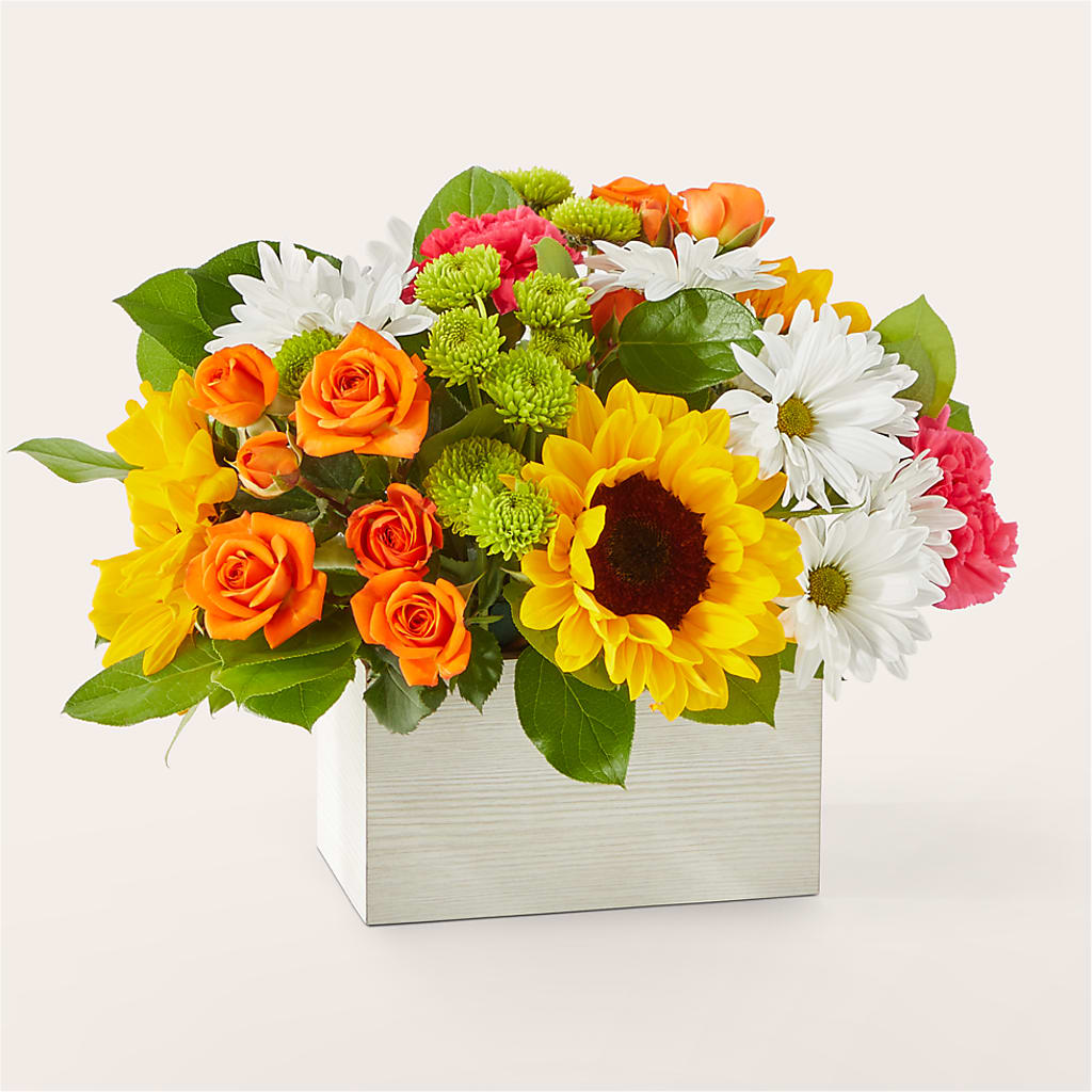 Sun-drenched Blooms Box Bouquet – C & C SENSATIONS, Waynesboro VA