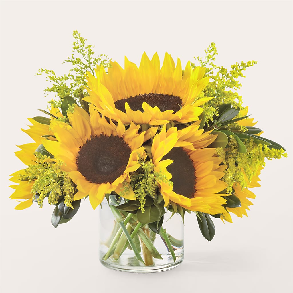 Beaming Sunflower Bouquet – C & C SENSATIONS, Waynesboro VA