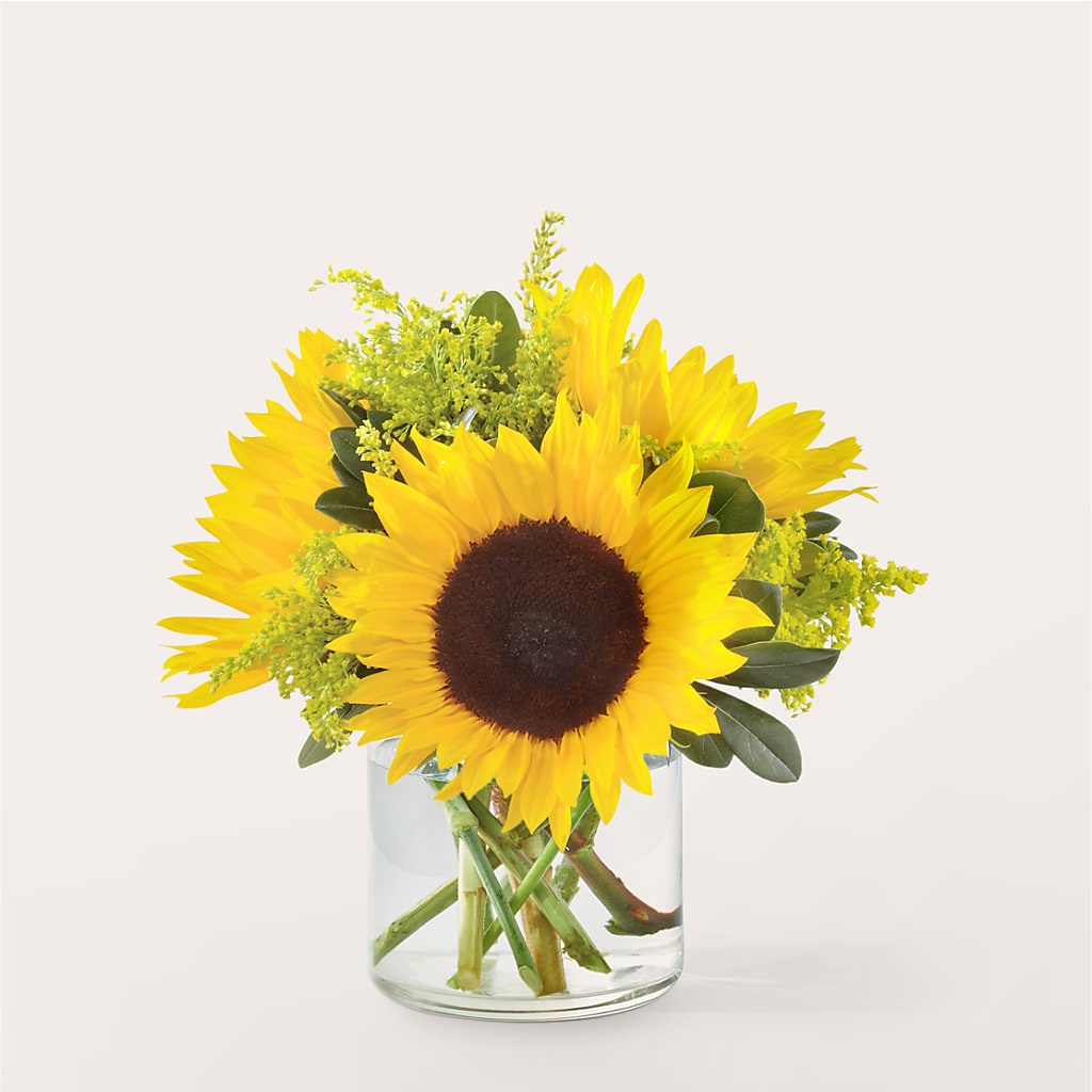 Beaming Sunflower Bouquet – C & C SENSATIONS, Waynesboro VA