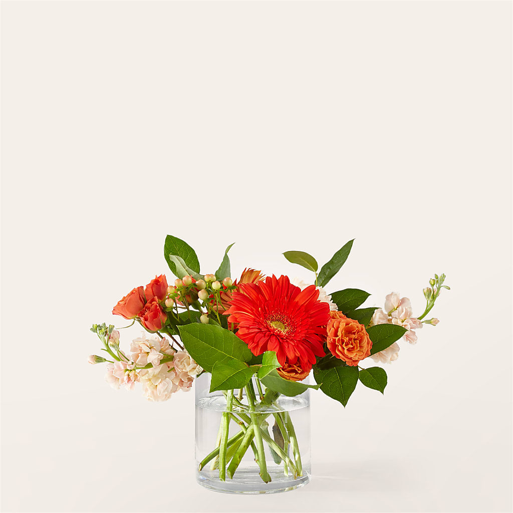 Paloma Please Bouquet – C & C SENSATIONS, Waynesboro VA