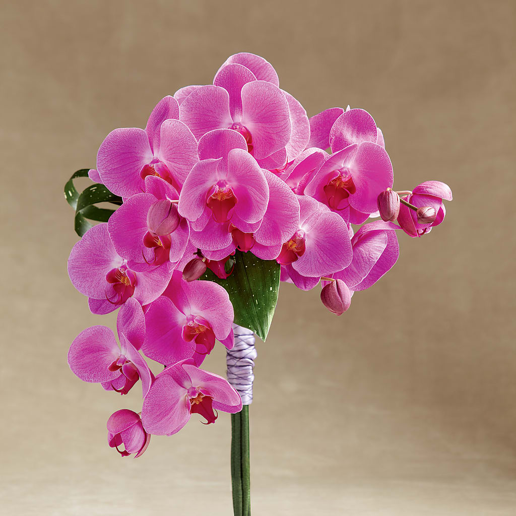 Glorious Bouquet – C & C SENSATIONS, Waynesboro VA