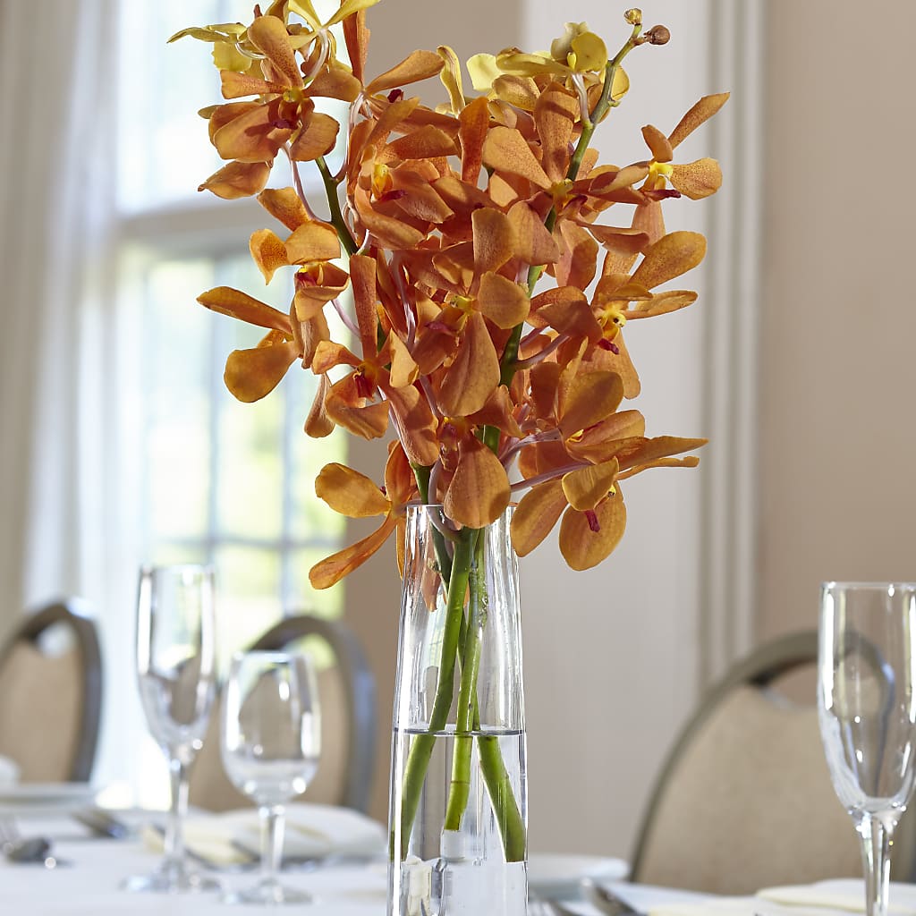 Orange Mokara Bud Vase – C & C SENSATIONS, Waynesboro VA