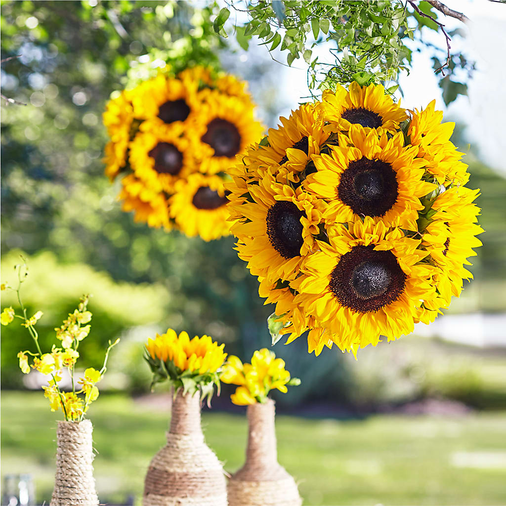 Sublime Garden Hanging Arrangement – C & C SENSATIONS, Waynesboro VA
