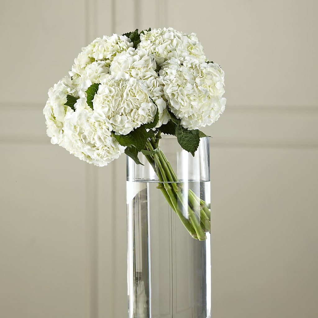 White Hydrangea Hand-Tied Bouquet – C & C SENSATIONS, Waynesboro VA