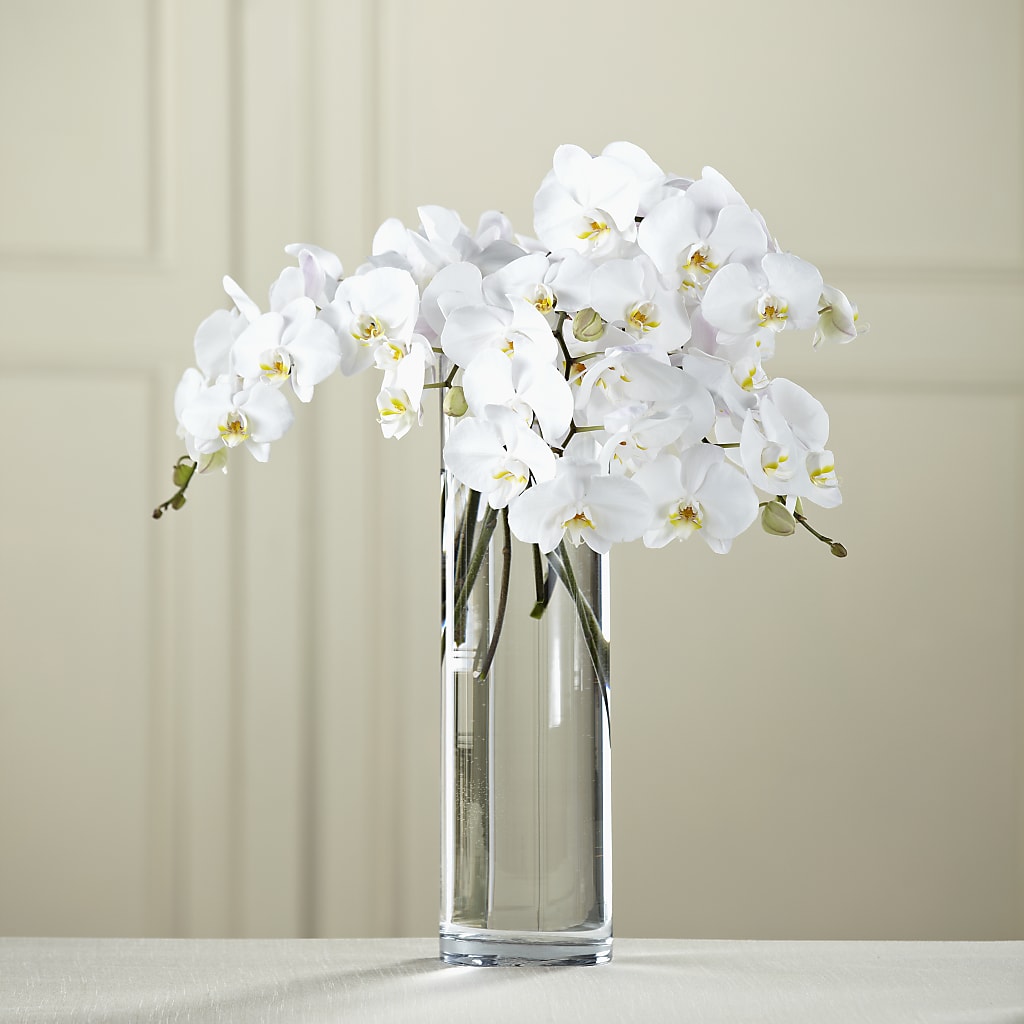 White Phalaenopsis Bouquet – C & C SENSATIONS, Waynesboro VA
