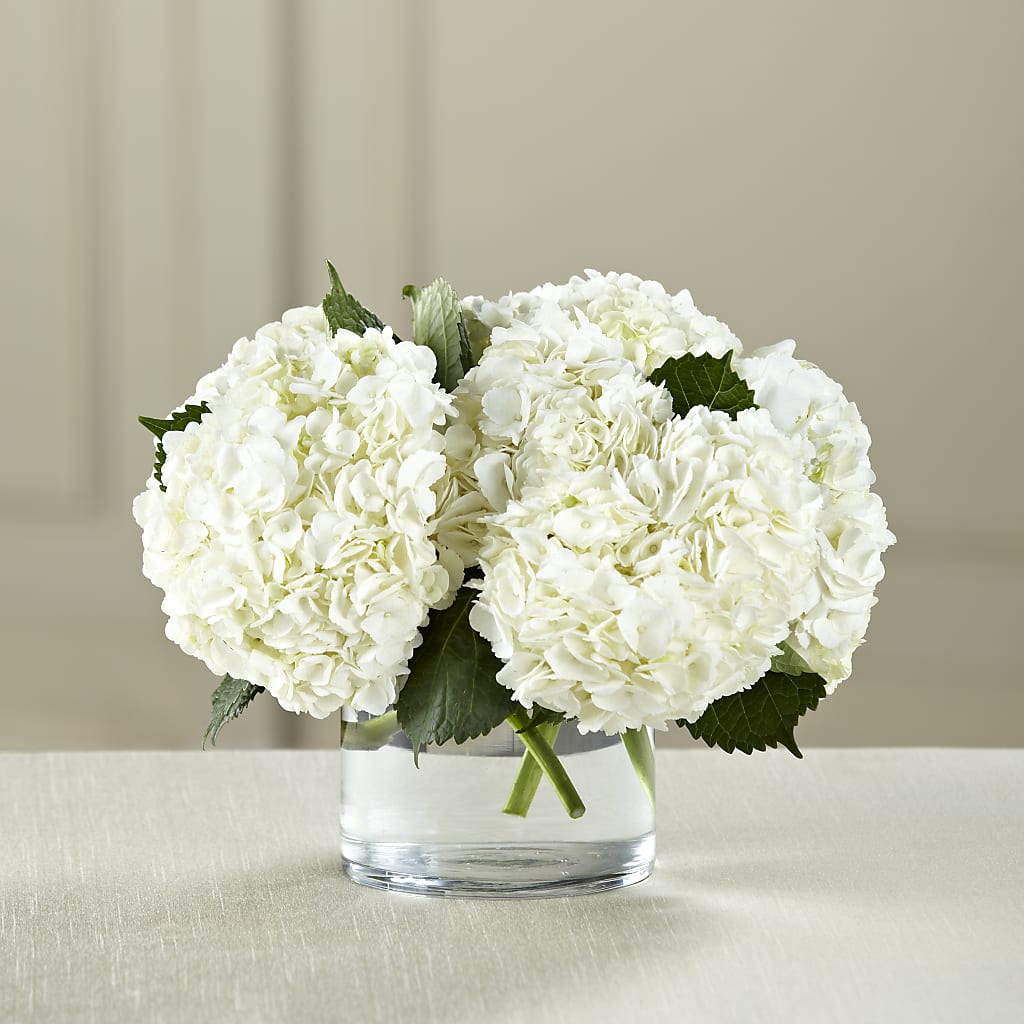 White Hydrangea Bouquet – C & C SENSATIONS, Waynesboro VA