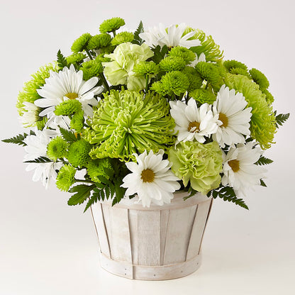 Lucky Charm Basket (Standard) – C & C SENSATIONS, Waynesboro VA