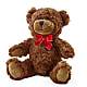 Adorable Plush Bear – C & C SENSATIONS, Waynesboro VA