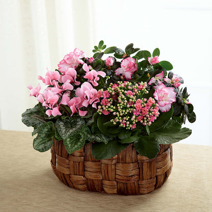 Pink Assortment – C & C SENSATIONS, Waynesboro VA