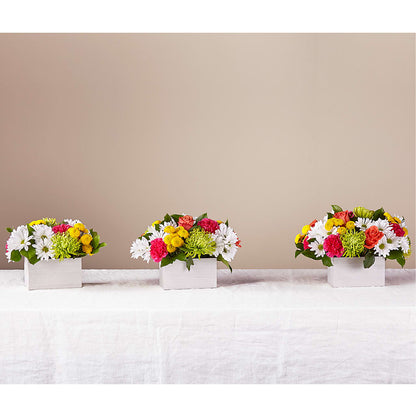 Sorbet Bouquet – C & C SENSATIONS, Waynesboro VA
