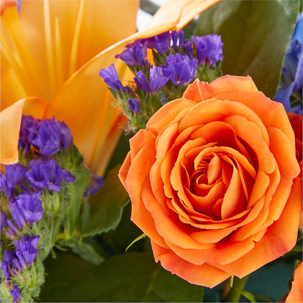 Radiant Citrus Box Bouquet – C & C SENSATIONS, Waynesboro VA
