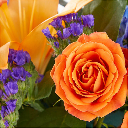 Radiant Citrus Box Bouquet – C & C SENSATIONS, Waynesboro VA