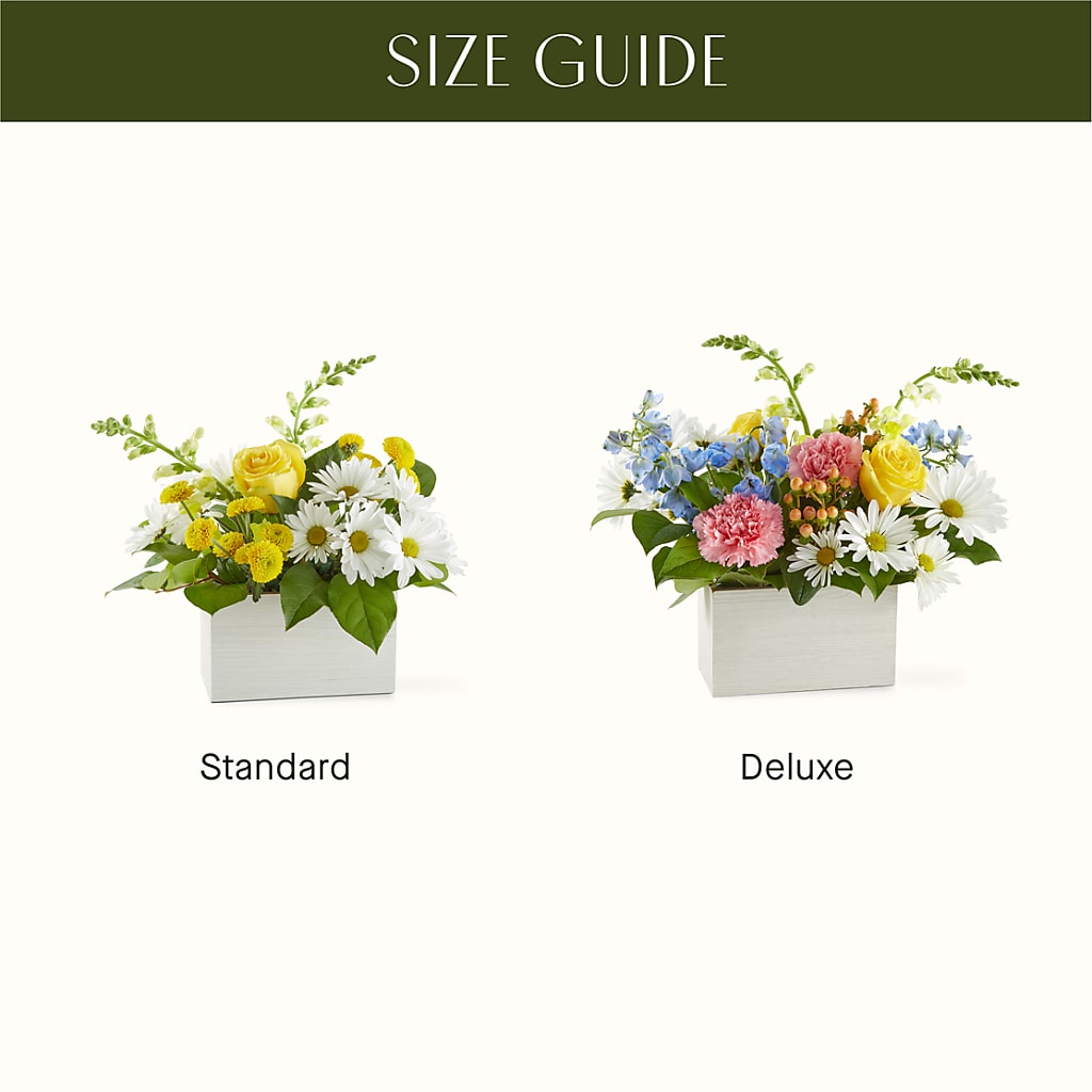 Sun Salutation Box Bouquet – C & C SENSATIONS, Waynesboro VA
