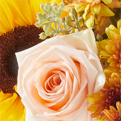 Pumpkin to Talk About Bouquet – C & C SENSATIONS, Waynesboro VA
