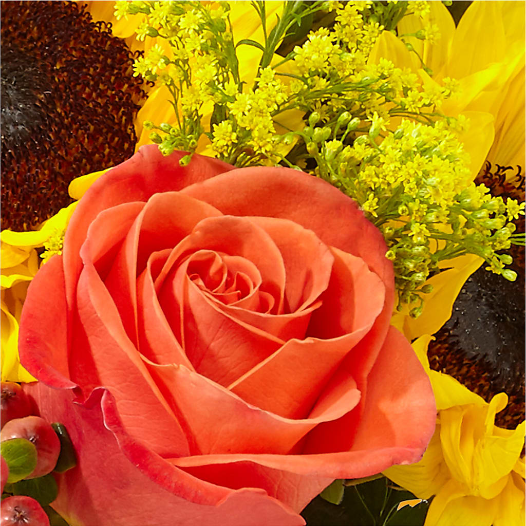 Pick of the Patch Pumpkin Bouquet – C & C SENSATIONS, Waynesboro VA