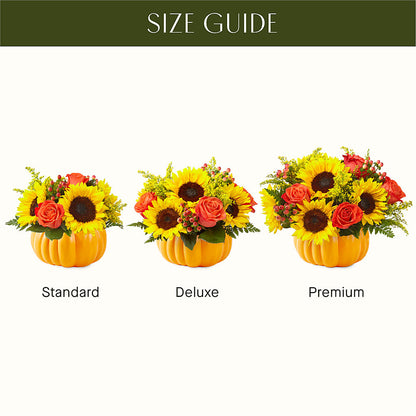 Pick of the Patch Pumpkin Bouquet – C & C SENSATIONS, Waynesboro VA