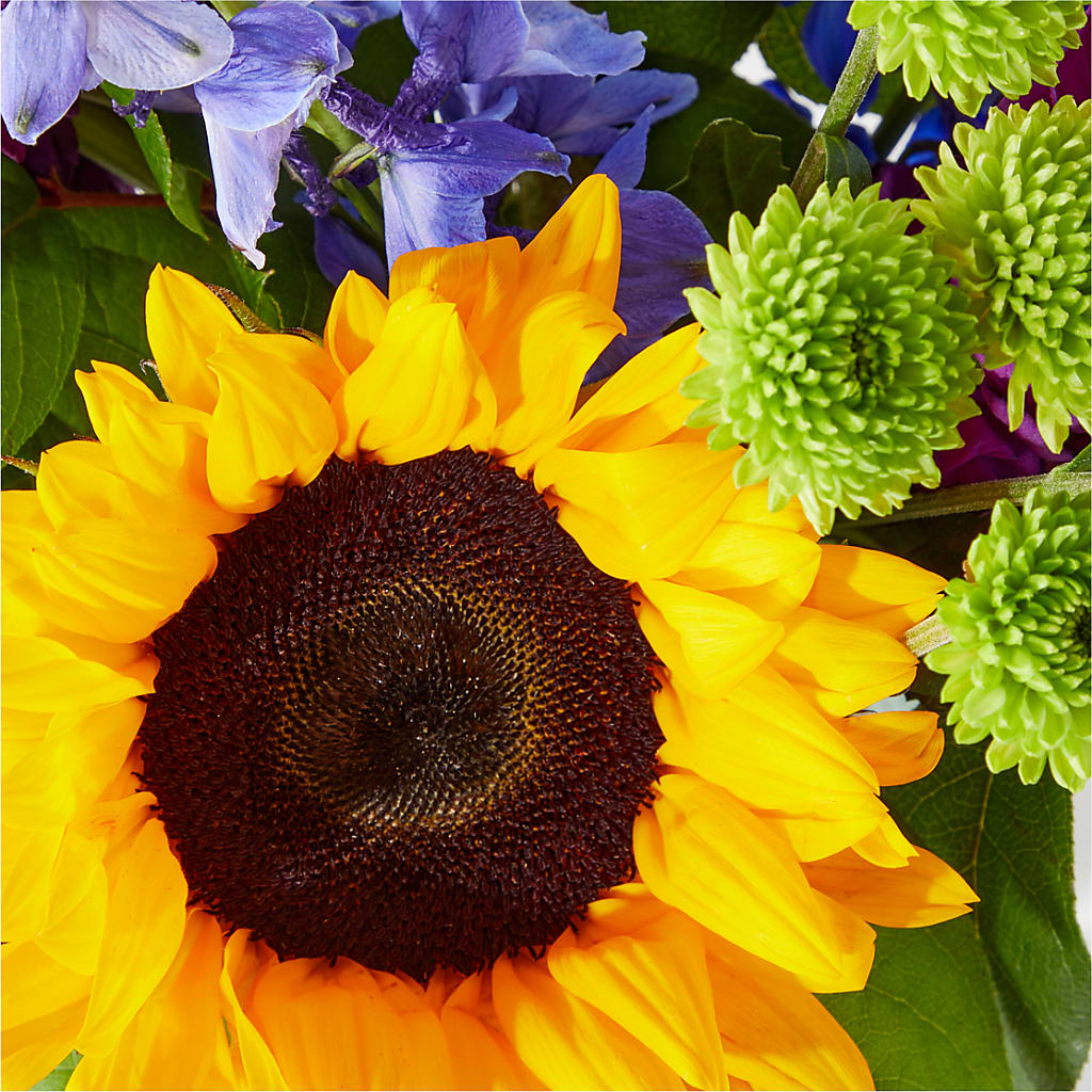 Catching Rays Bouquet – C & C SENSATIONS, Waynesboro VA