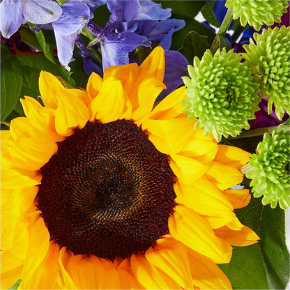 Catching Rays Bouquet – C & C SENSATIONS, Waynesboro VA