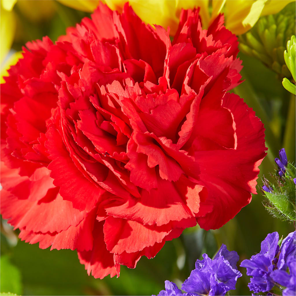 Brighter Days Bouquet – C & C SENSATIONS, Waynesboro VA