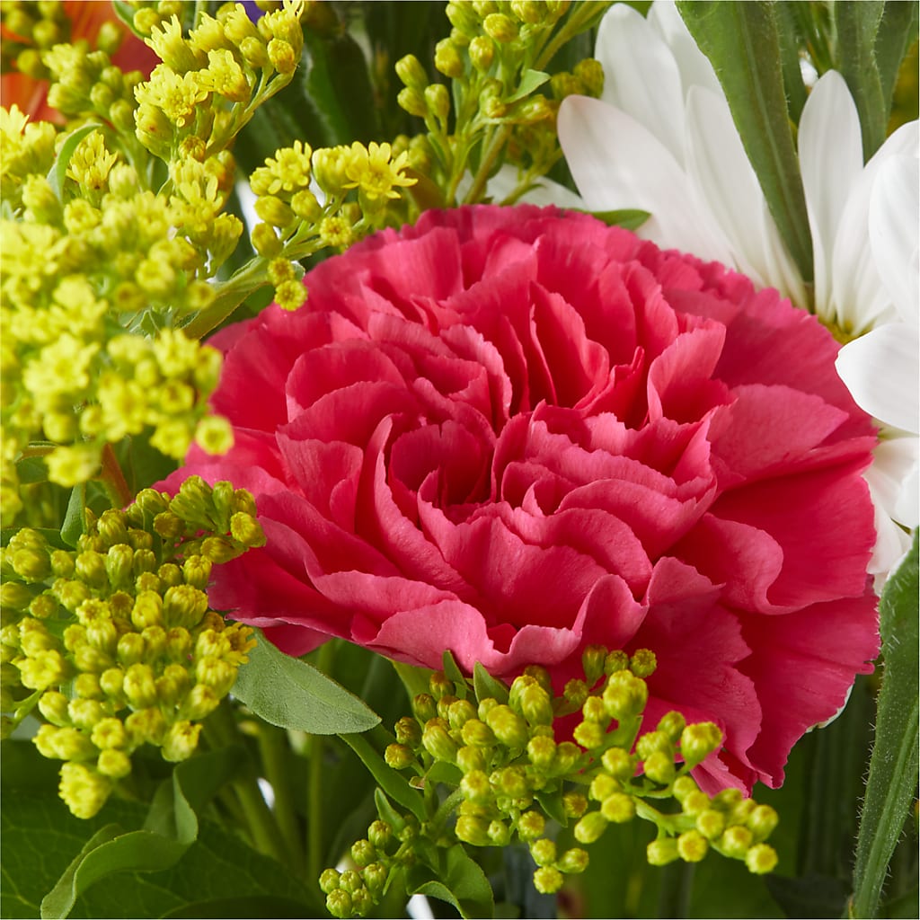 Oopsie Daisy Bouquet – C & C SENSATIONS, Waynesboro VA