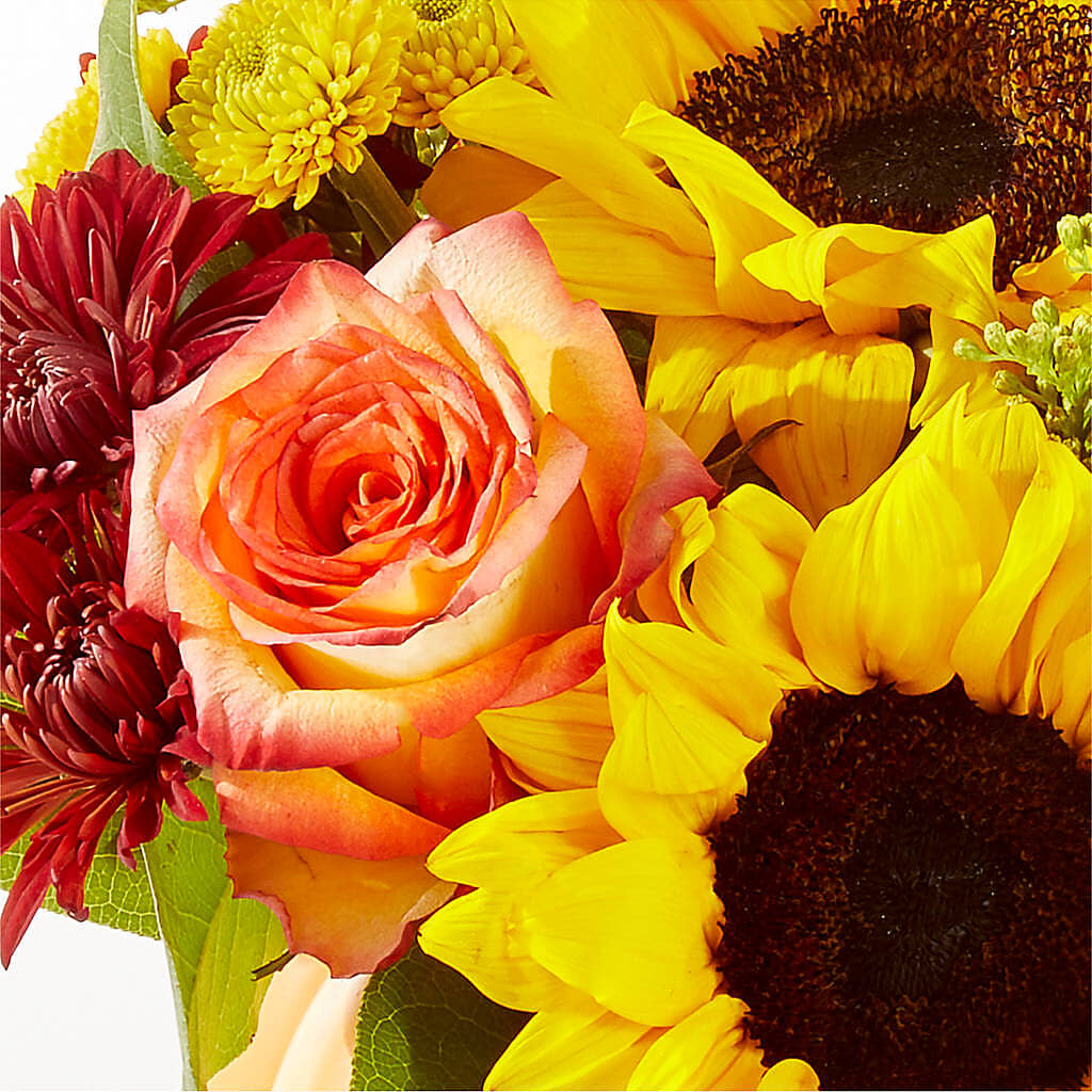 Golden Gourd Pumpkin Bouquet – C & C SENSATIONS, Waynesboro VA