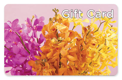 Gift Card – C & C SENSATIONS, Waynesboro VA