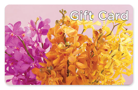 Gift Card – C & C SENSATIONS, Waynesboro VA