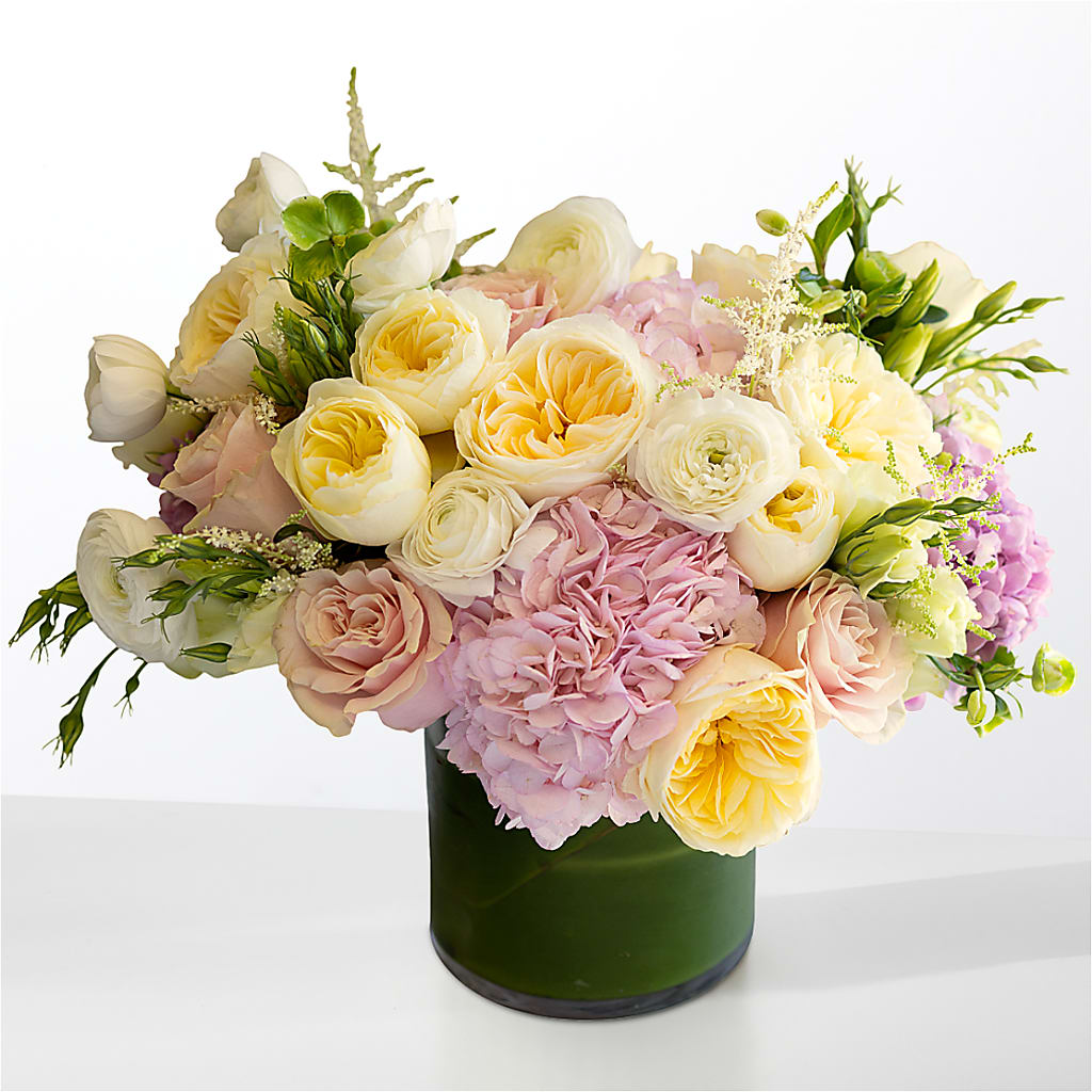 The Melody
