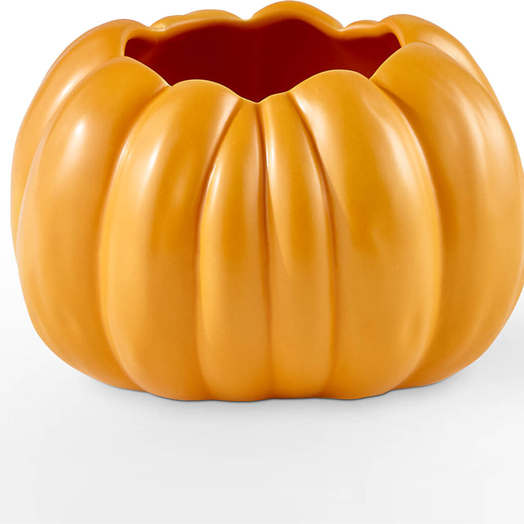 Golden Gourd Pumpkin Bouquet – C & C SENSATIONS, Waynesboro VA