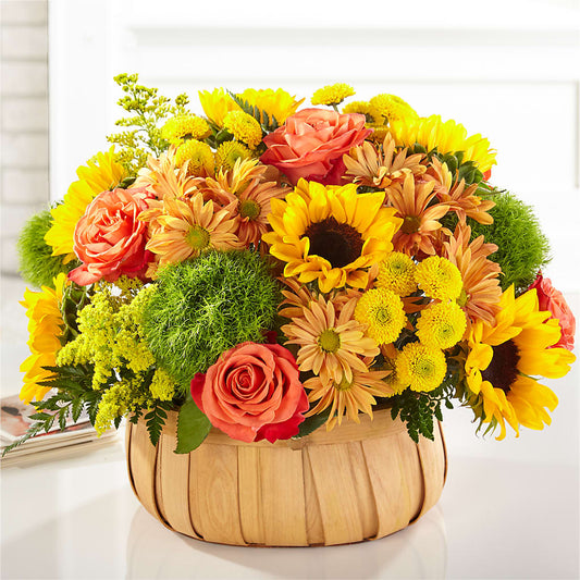 Harvest Sunflower Basket – C & C SENSATIONS, Waynesboro VA