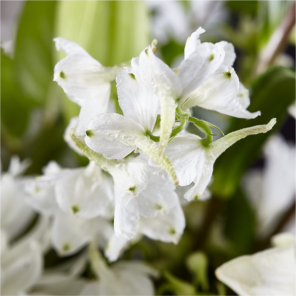 Classic Ivory – A Florist Original – C & C SENSATIONS, Waynesboro VA