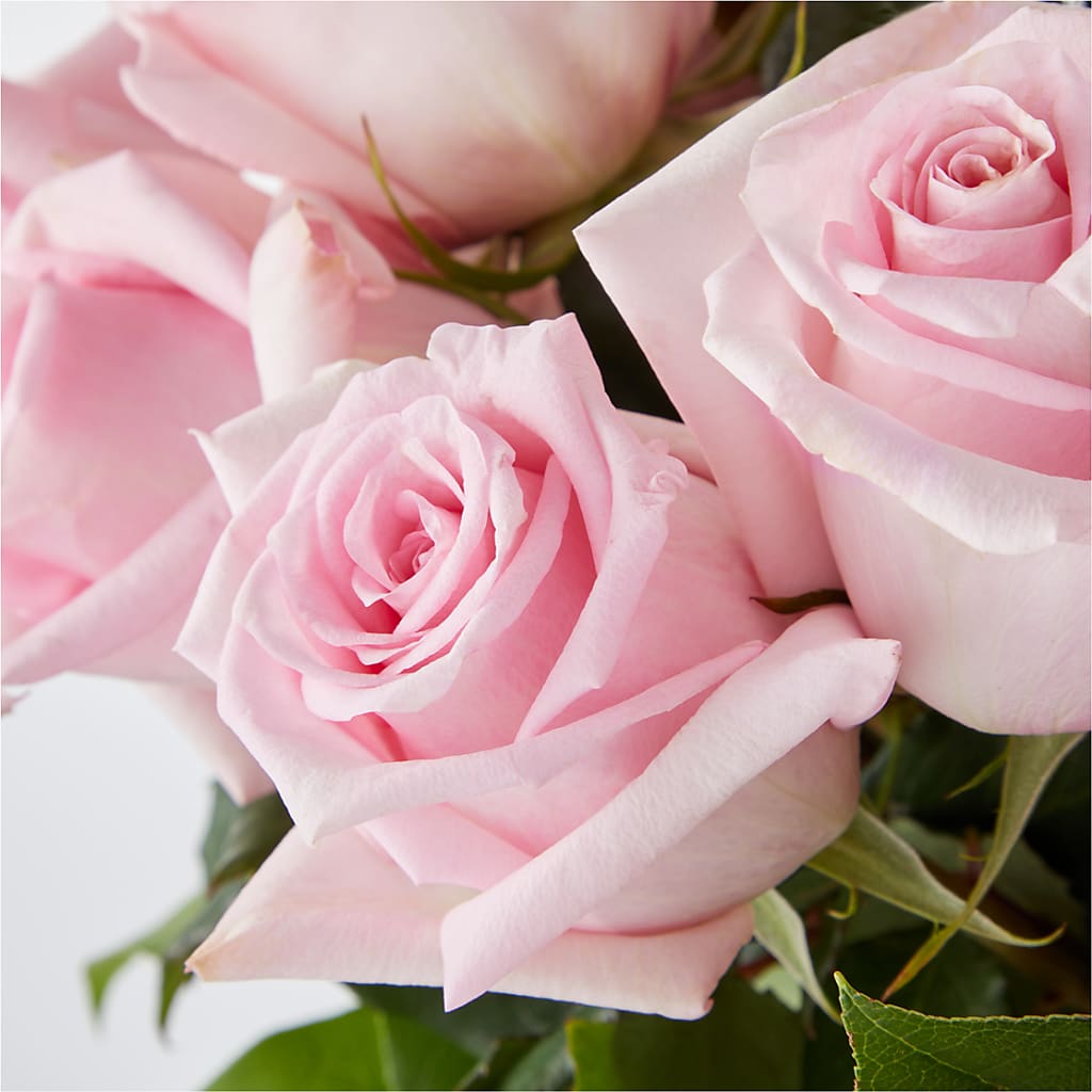Picture Perfect Pink Rose Bouquet – C & C SENSATIONS, Waynesboro VA