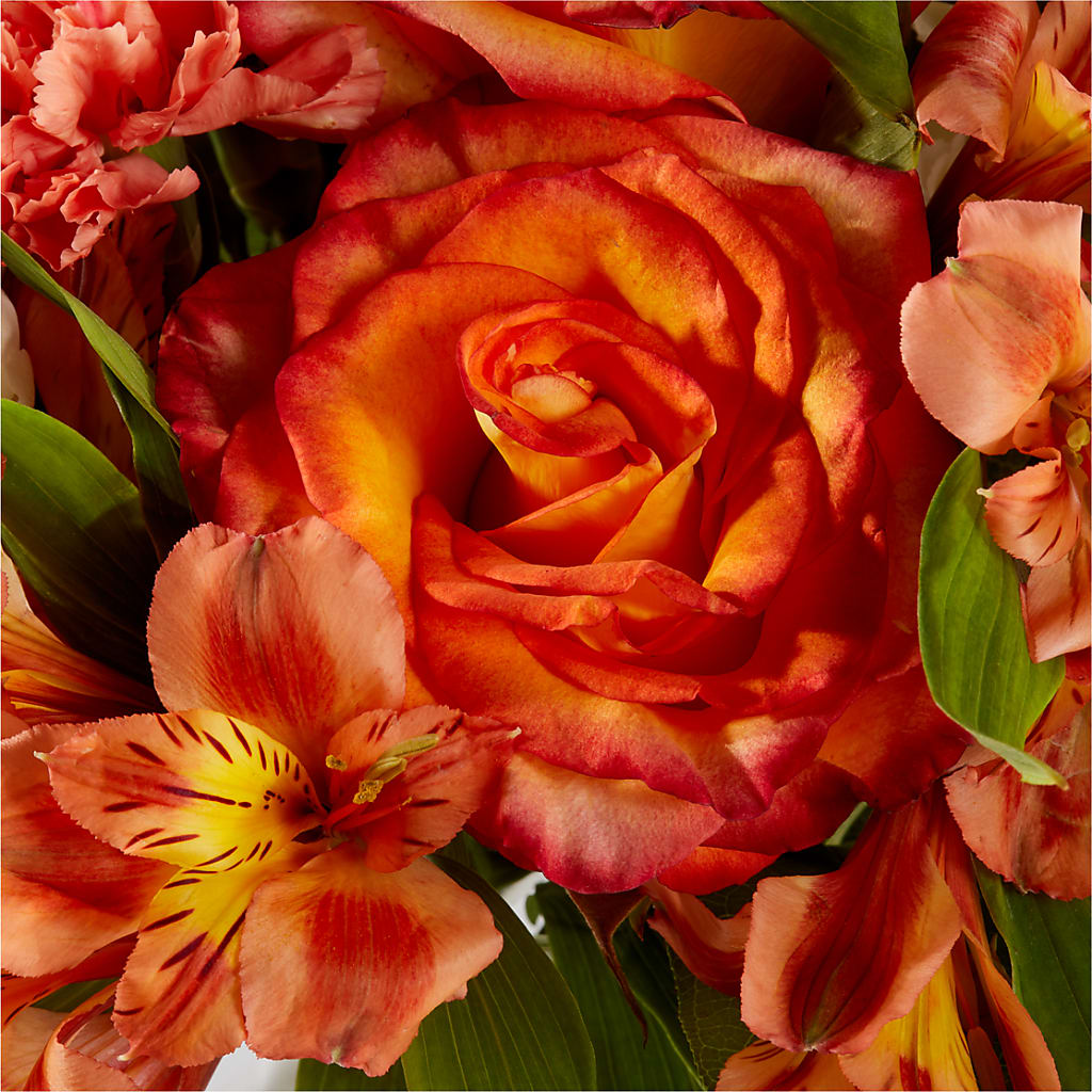 Apricot Glow Bouquet – C & C SENSATIONS, Waynesboro VA