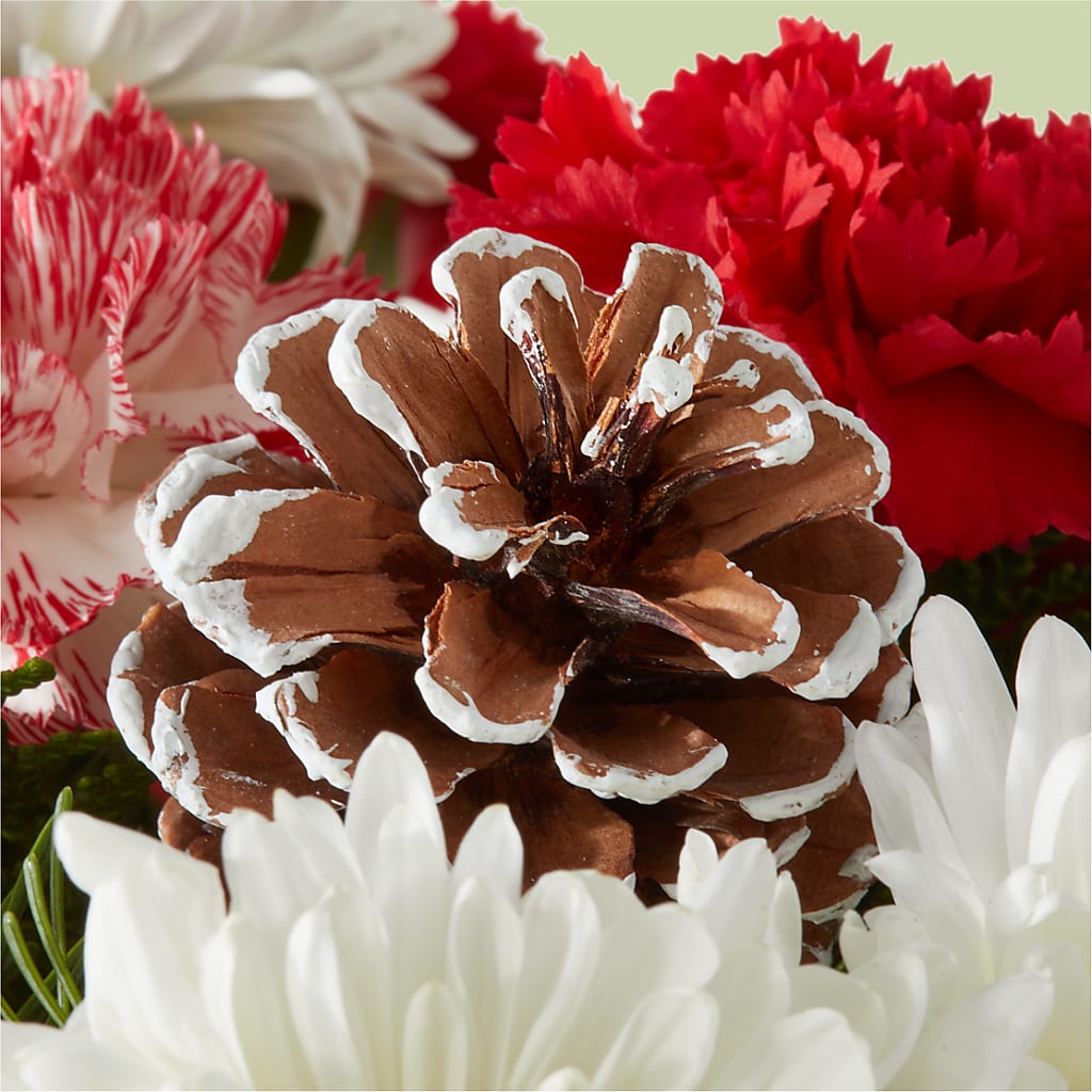Candy Cane Lane Bouquet – C & C SENSATIONS, Waynesboro VA