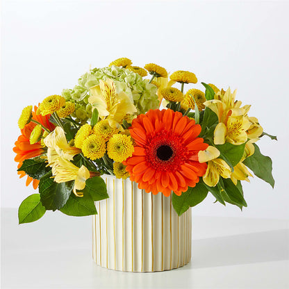Autumn Sunshine Bouquet with Ivory Vase – C & C SENSATIONS, Waynesboro VA