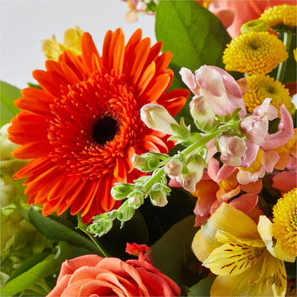 Autumn Sunshine Bouquet – C & C SENSATIONS, Waynesboro VA
