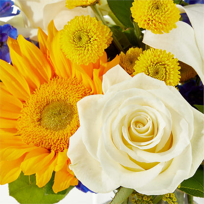 Stargazing Bouquet – C & C SENSATIONS, Waynesboro VA