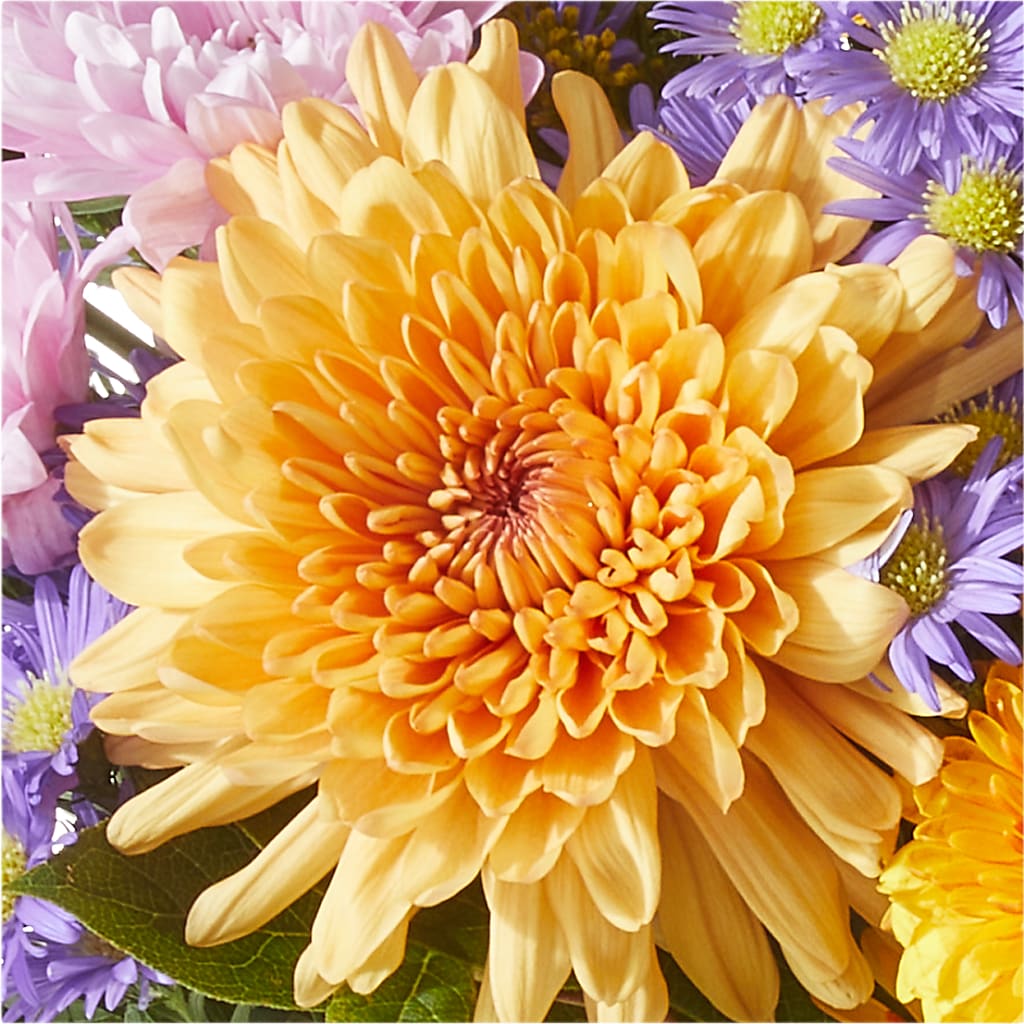 Countryside Bouquet – C & C SENSATIONS, Waynesboro VA