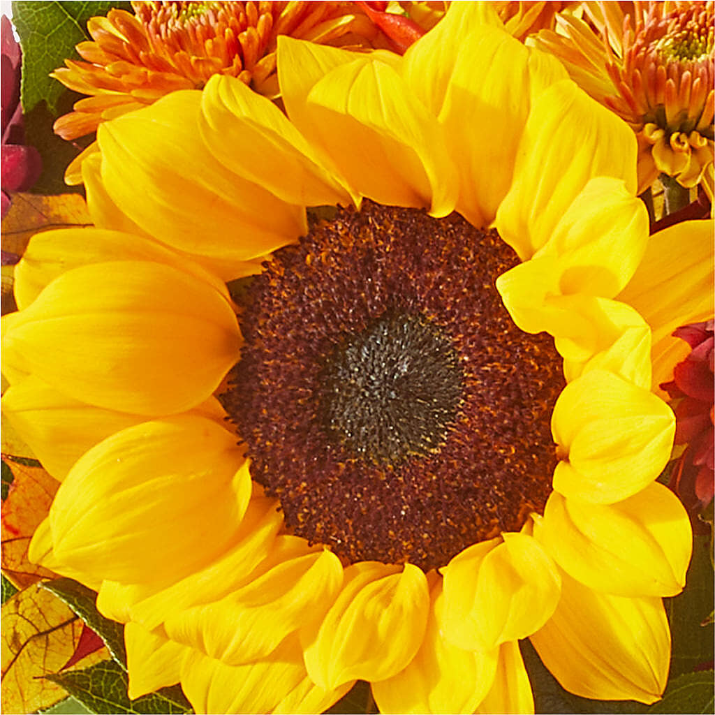 Sunny Side Bouquet – C & C SENSATIONS, Waynesboro VA