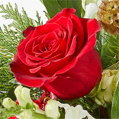Deck the Halls Bouquet – C & C SENSATIONS, Waynesboro VA