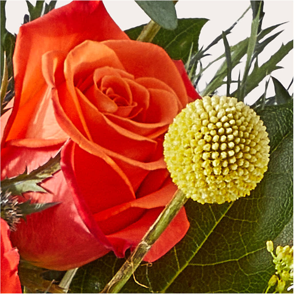 Disco Bouquet – C & C SENSATIONS, Waynesboro VA