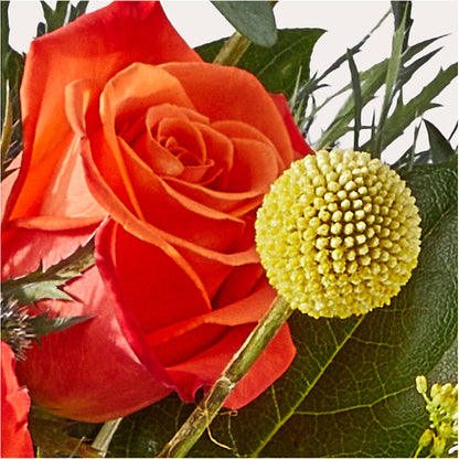 Disco Bouquet – C & C SENSATIONS, Waynesboro VA