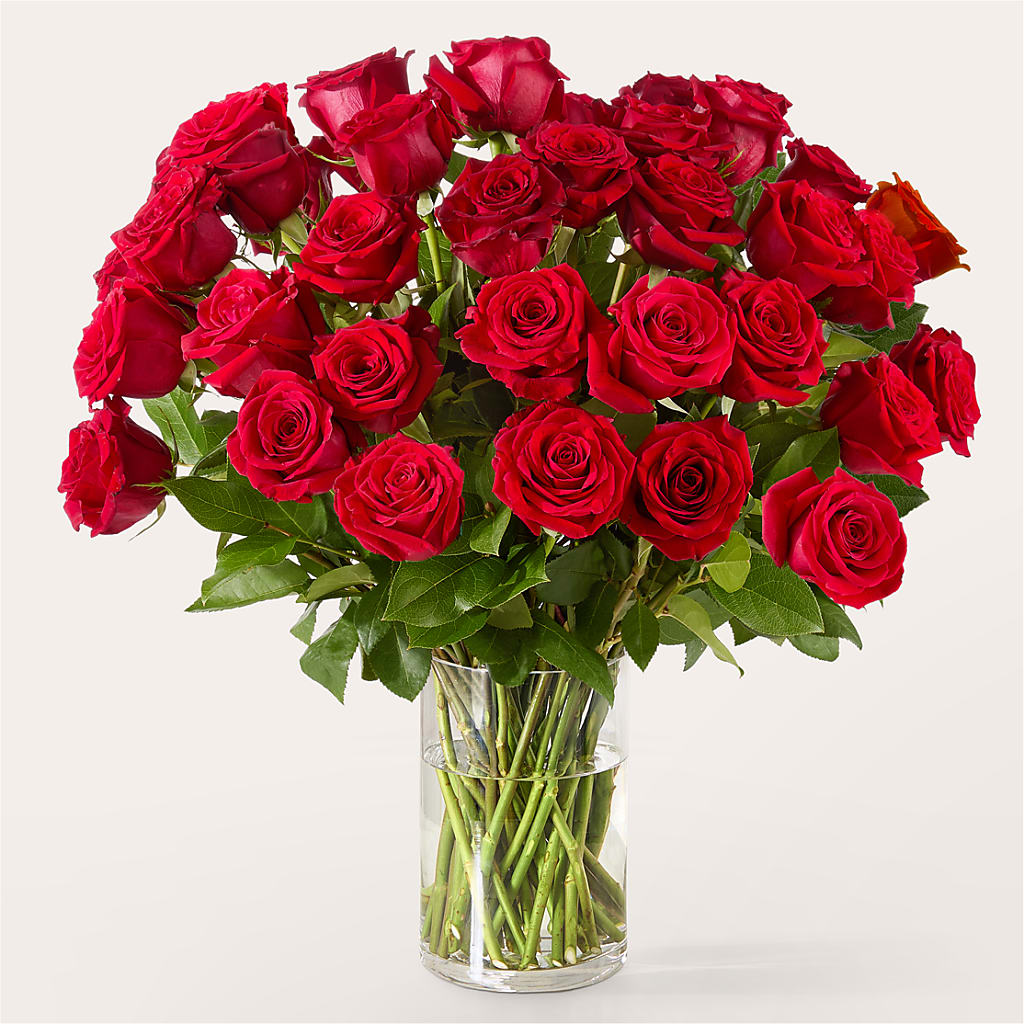 The One Red Rose Bouquet – C & C SENSATIONS, Waynesboro VA